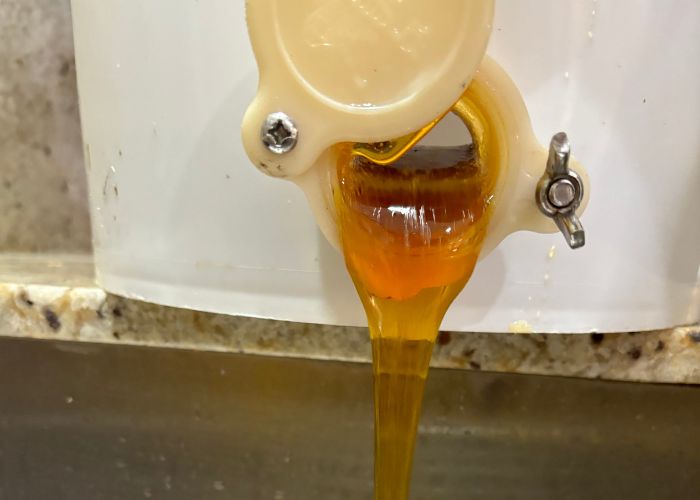 Honey Flowing